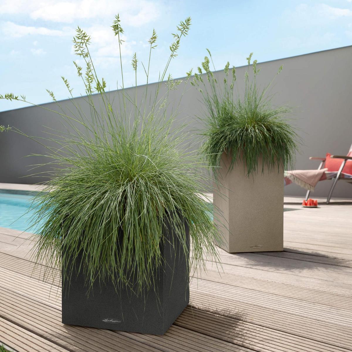 LECHUZA CANTO Stone 30 High Poly Resin Floor Self-watering Planter with Substrate and Water Level Indicator