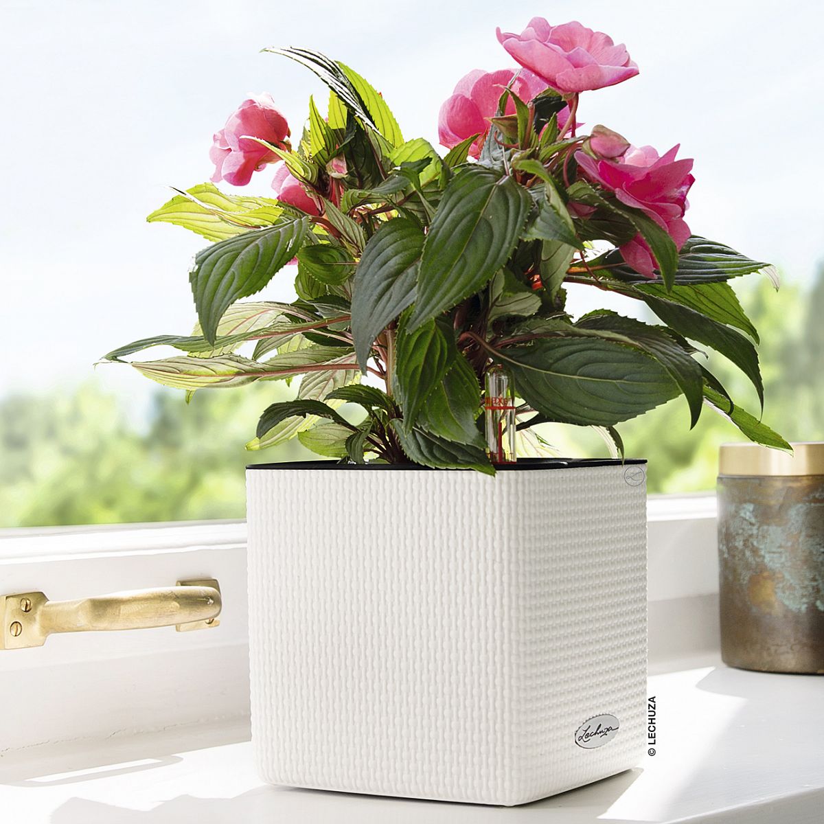 LECHUZA CUBE Color Poly Resin Table Self-watering Planter with Water Level Indicator