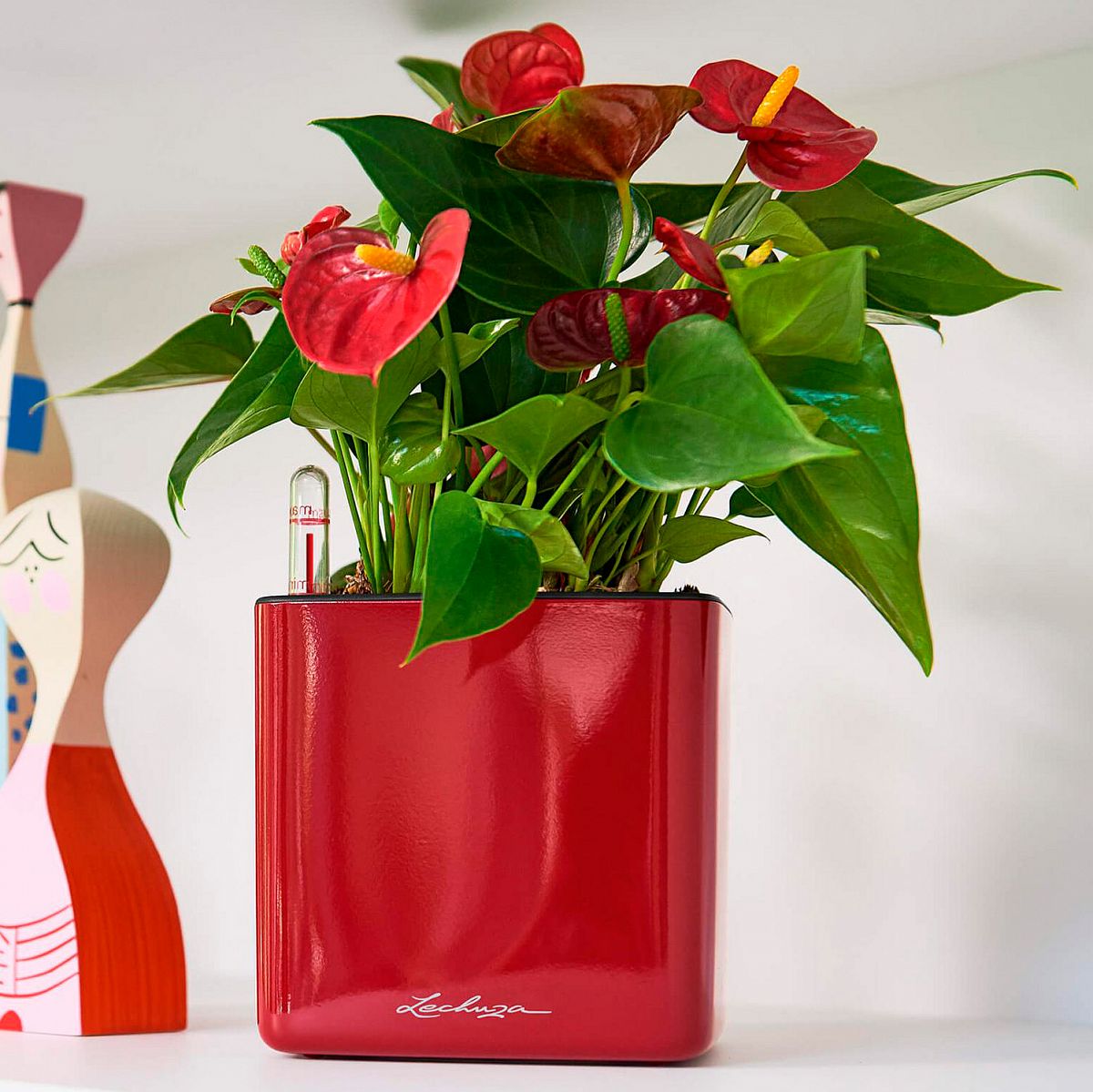 LECHUZA CUBE Glossy Poly Resin Table Self-watering Planter with Water Level Indicator