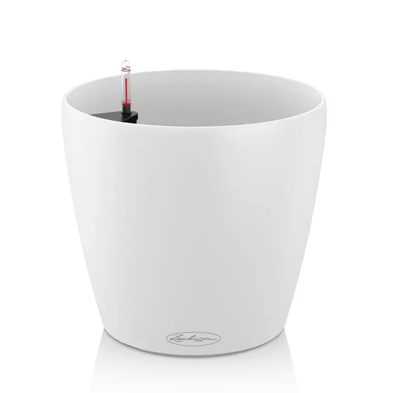 LECHUZA CLASSICO Colour