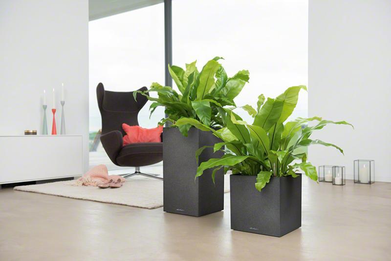 LECHUZA CANTO Stone 30 High Poly Resin Floor Self-watering Planter with Substrate and Water Level Indicator