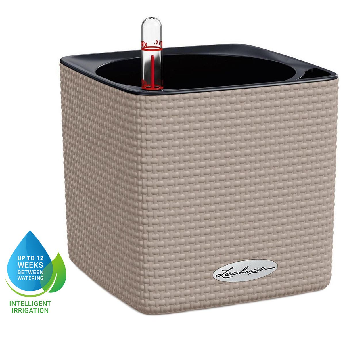 LECHUZA CUBE Color Poly Resin Table Self-watering Planter with Water Level Indicator