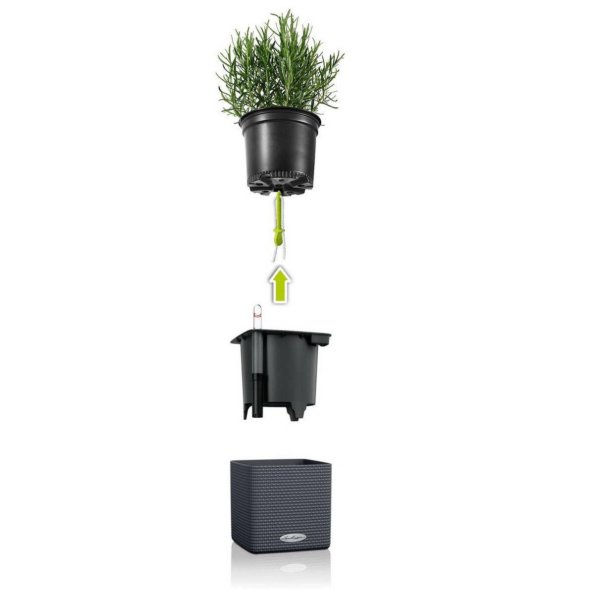 LECHUZA CUBE Color Poly Resin Table Self-watering Planter with Water Level Indicator
