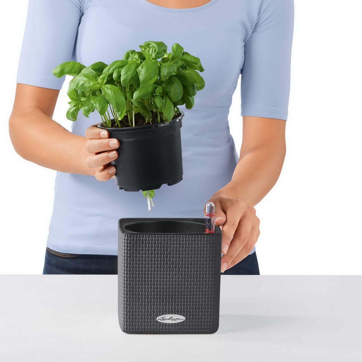 LECHUZA CUBE Color Poly Resin Table Self-watering Planter with Water Level Indicator
