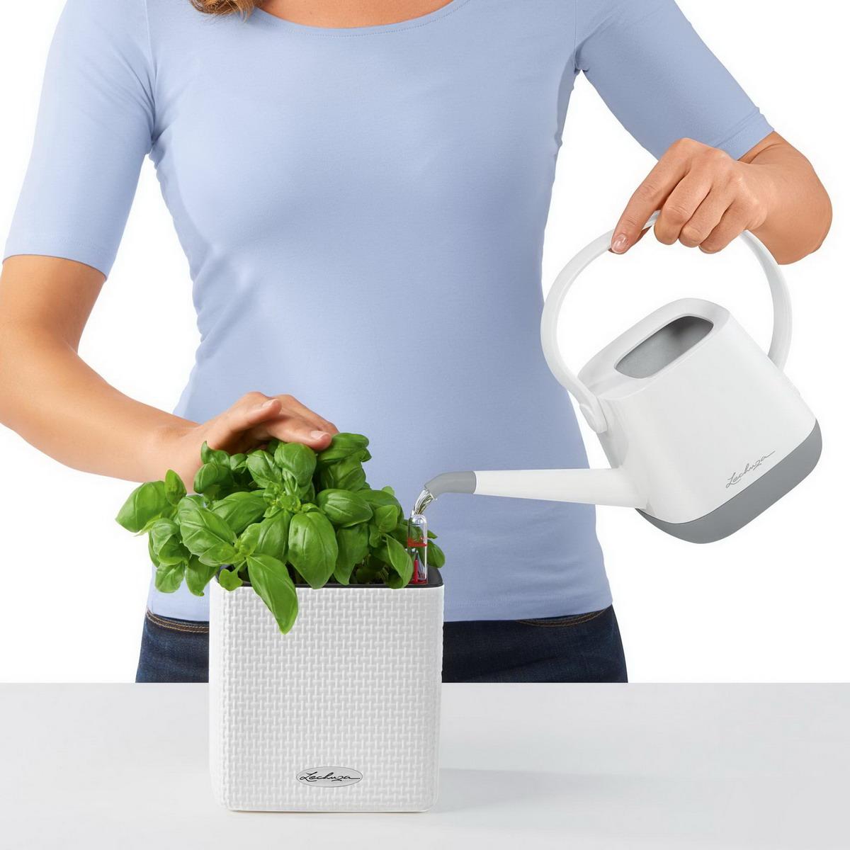 LECHUZA CUBE Color Poly Resin Table Self-watering Planter with Water Level Indicator