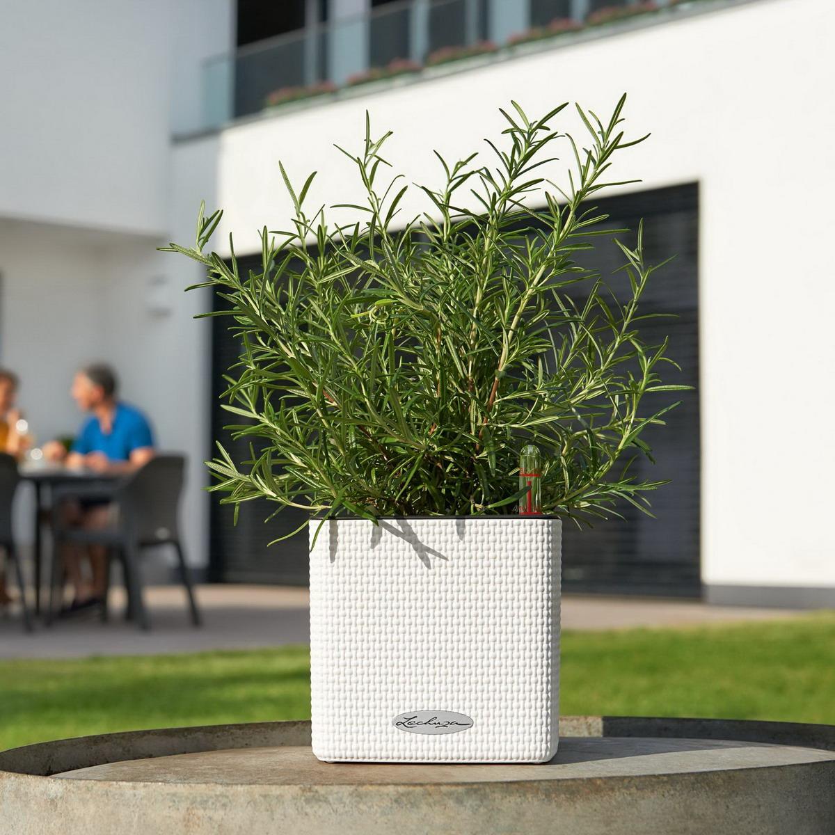 LECHUZA CUBE Color Poly Resin Table Self-watering Planter with Water Level Indicator
