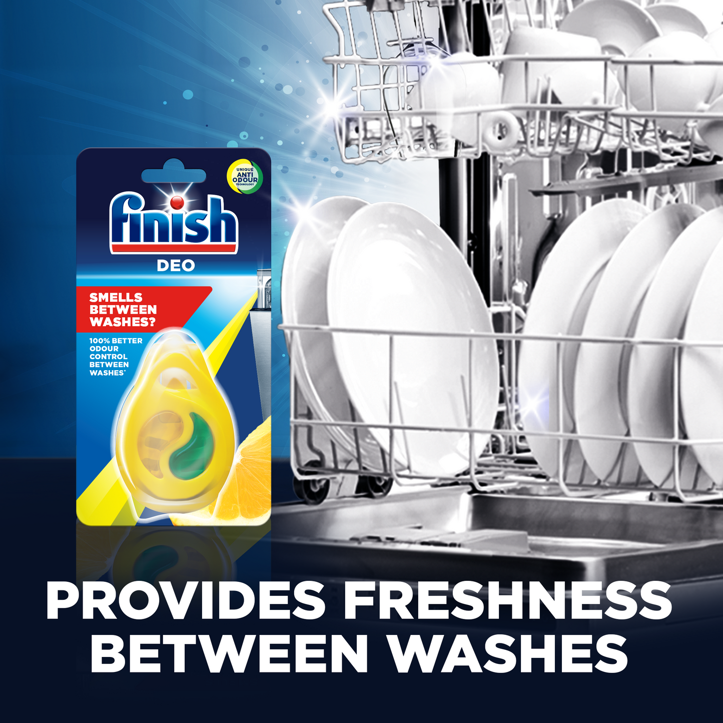 Dishwasher Freshener