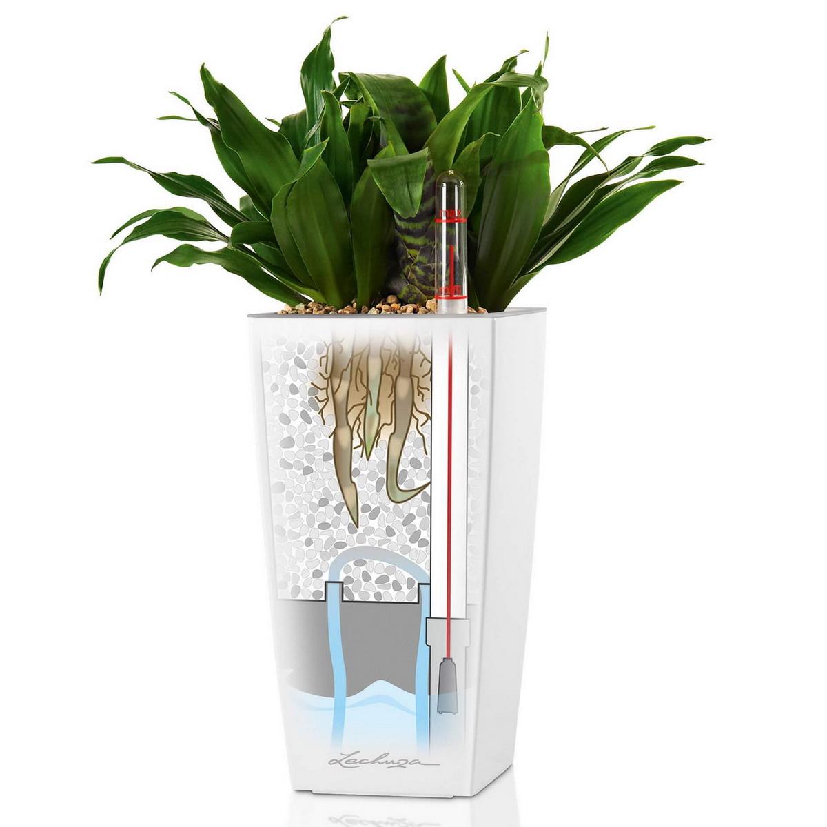LECHUZA MINI CUBI Table Poly Resin Table Self-watering Planter with Substrate and Water Level Indicator
