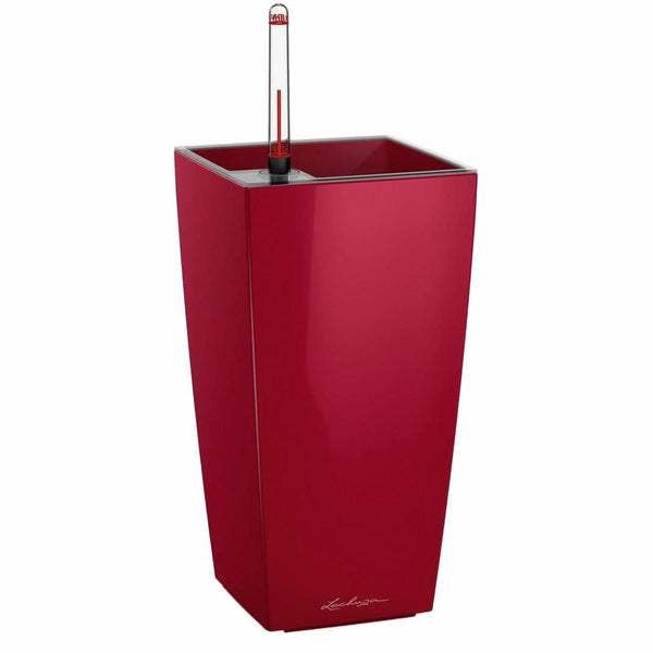 LECHUZA MINI CUBI Table Poly Resin Table Self-watering Planter with Substrate and Water Level Indicator