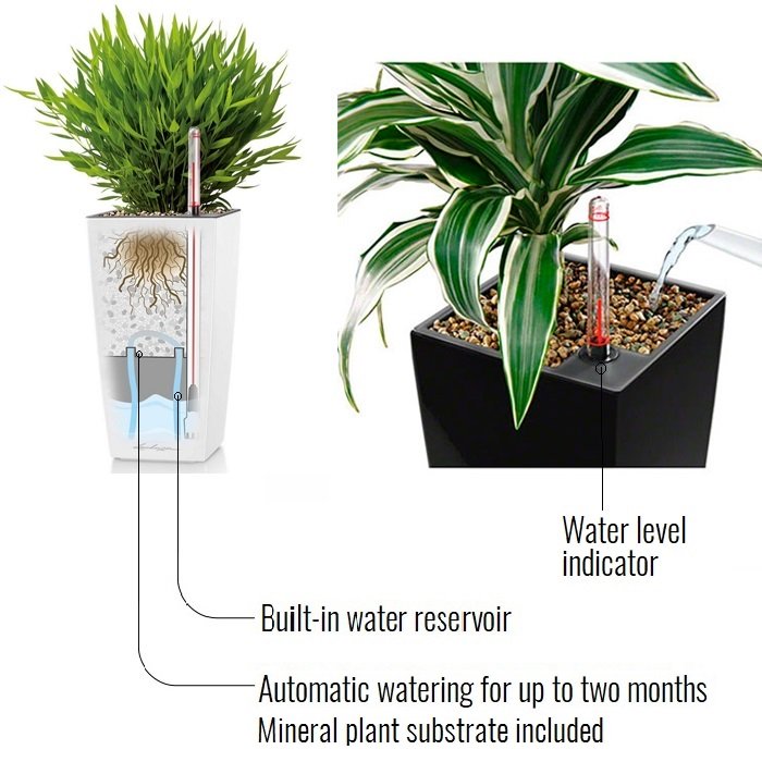 LECHUZA MINI CUBI Table Poly Resin Table Self-watering Planter with Substrate and Water Level Indicator