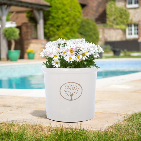 Cotswold Cylinder