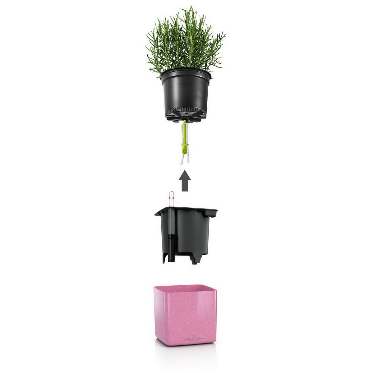 LECHUZA CUBE Glossy Kiss 14 Poly Resin Table Self-watering Planter with Water Level Indicator
