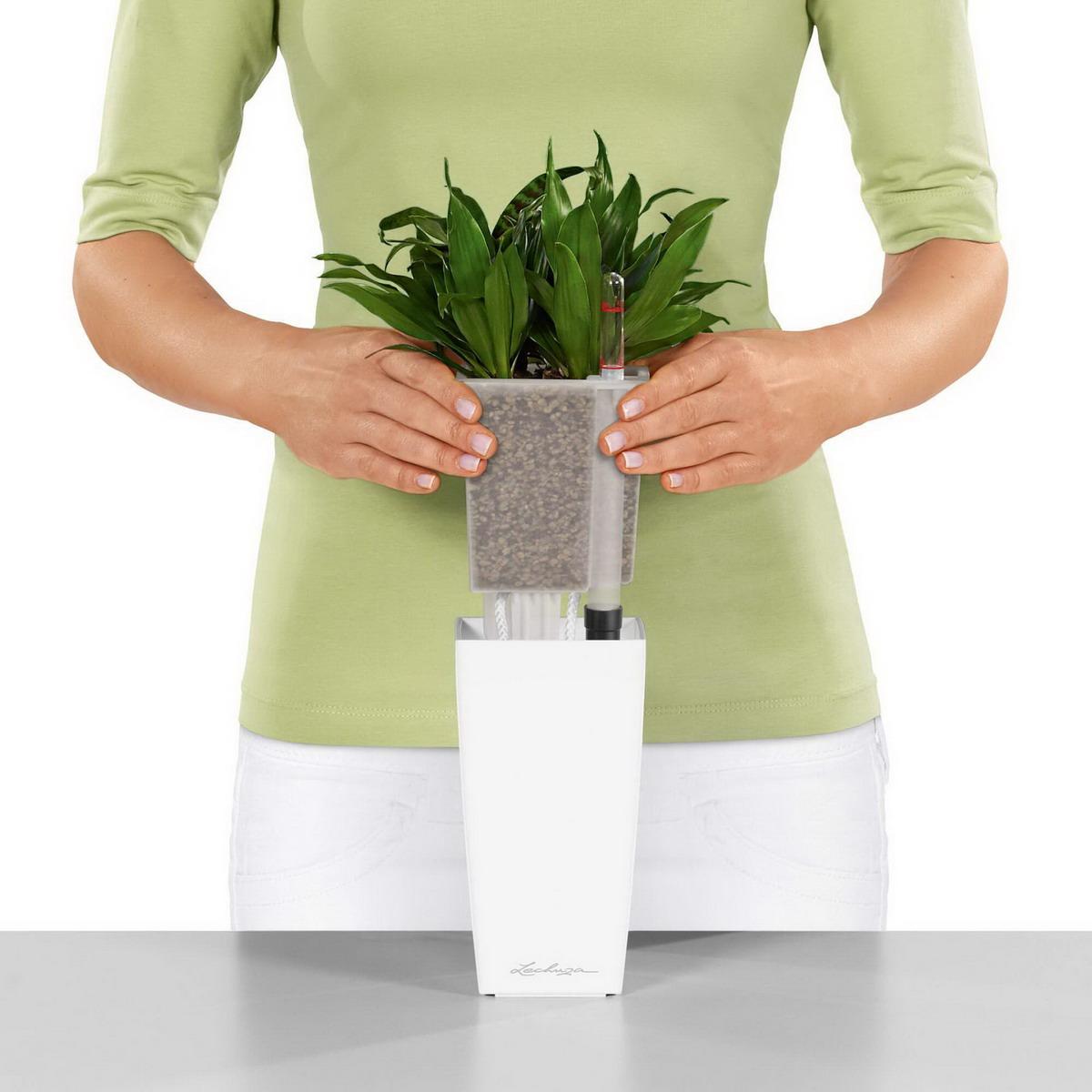 LECHUZA MINI CUBI Table Poly Resin Table Self-watering Planter with Substrate and Water Level Indicator