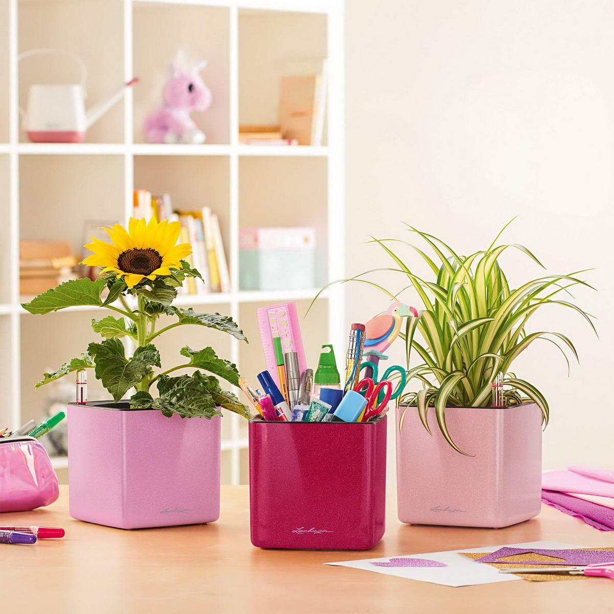 LECHUZA CUBE Glossy Kiss 14 Poly Resin Table Self-watering Planter with Water Level Indicator